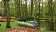 Greetings From… Keukenhof, Holland This photo was taken at the Keukenhof Gardens in Lisse, Holland. I don’t think I’ve ever seen such a kaleidoscope of color as this before or since. The park is only open for two months a year (from mid-March to mid-May), when the tulips are in bloom. It was a crisp spring day and the overcast sky produced a soft, diffused light that made the colors pop...