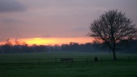 This photo was taken at dusk in front of Malahide Castle,  just outside Dublin. I loved the mood of this place—the December mist hovering above the lush, green landscape and the solitary bench next to a leafless tree. It was so quiet that it felt almost eerie to me.