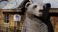 Side Trip: The Moonridge Zoo in Big Bear, California A surprisingly delightful attraction in the city of Big Bear Lake is the Moonridge Animal Park and Wildlife Center. Located at the base of Bear Mountain Ski Resort in the San Bernardino Mountains, this rare alpine zoo is only a two-and-a-half hour drive from Los Angeles. Unlike many animal parks, the Moonridge Zoo exhibits animals in their natural habitat—surrounded by towering pines and snow-capped peaks, at...