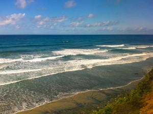 Pacific View