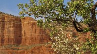 Top 10: Things To Do in Sedona, Arizona It’s magic hour in Sedona. As the sun slowly dips into the horizon, the majestic sandstone buttes and monoliths flare a brilliant orange and fiery crimson. Located 120 miles north of Phoenix, Sedona’s sublime natural landscape provides a stunning backdrop for outdoor activities of all kinds. And for some, even the chance for a spiritual awakening. Here’s my list of the top 10 things to...