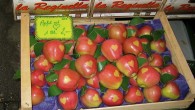 I took this picture at the farmers’ market in Salzburg, Austria that I mentioned in my “Windows of the World“ photo essay. While these apples were still growing in the orchard, heart-shaped stickers were placed on them. Then, after the harvest, the stickers were removed revealing whimsical “heart tans” on them! For more great travel photos, check out Nancie’s Budget Travelers Sandbox! This week she’s...