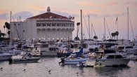 Side Trip: Catalina Island I was born and raised in Southern California so it’s unbelievable that I’d never been to Santa Catalina Island until two weeks ago. I’ve been to five continents and to islands all over the world—from Hawaii to Hong Kong and the Azores to the Cyclades—yet never to an...