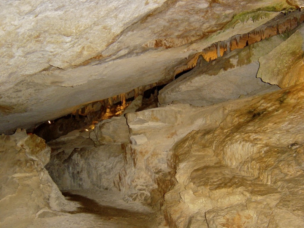 Cova 1
