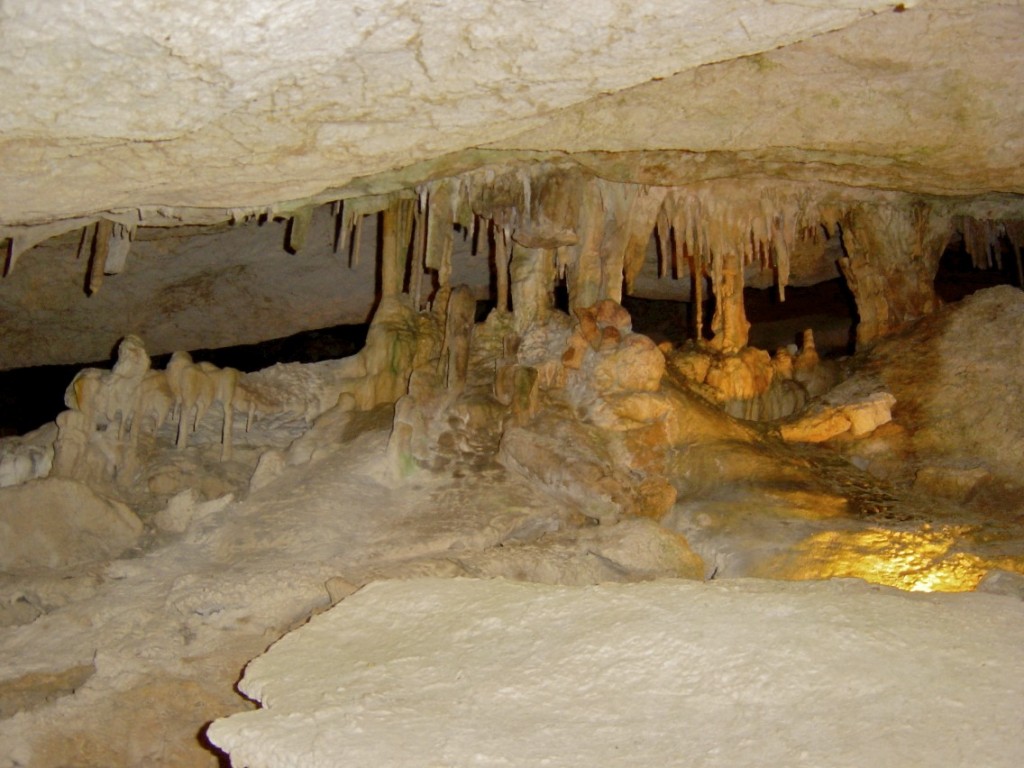 cova 2
