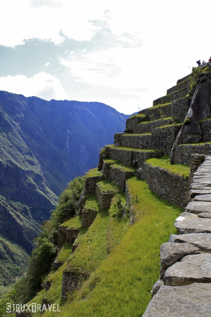 South terraces