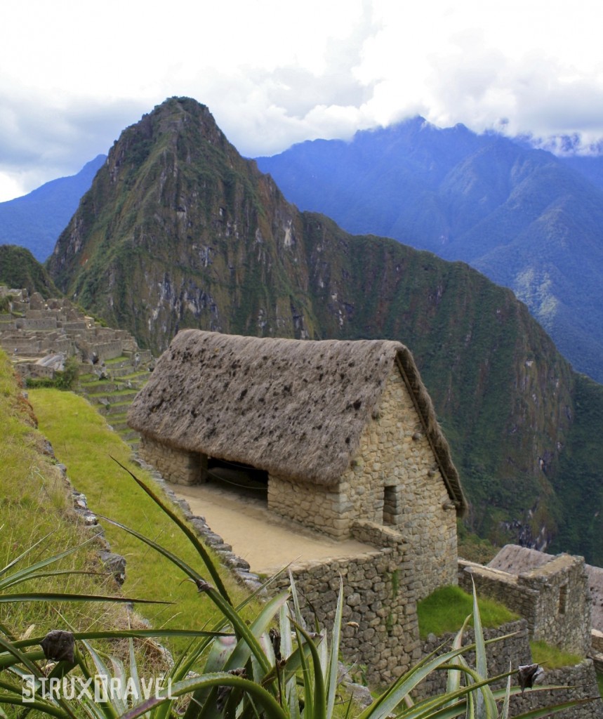 thatched roof