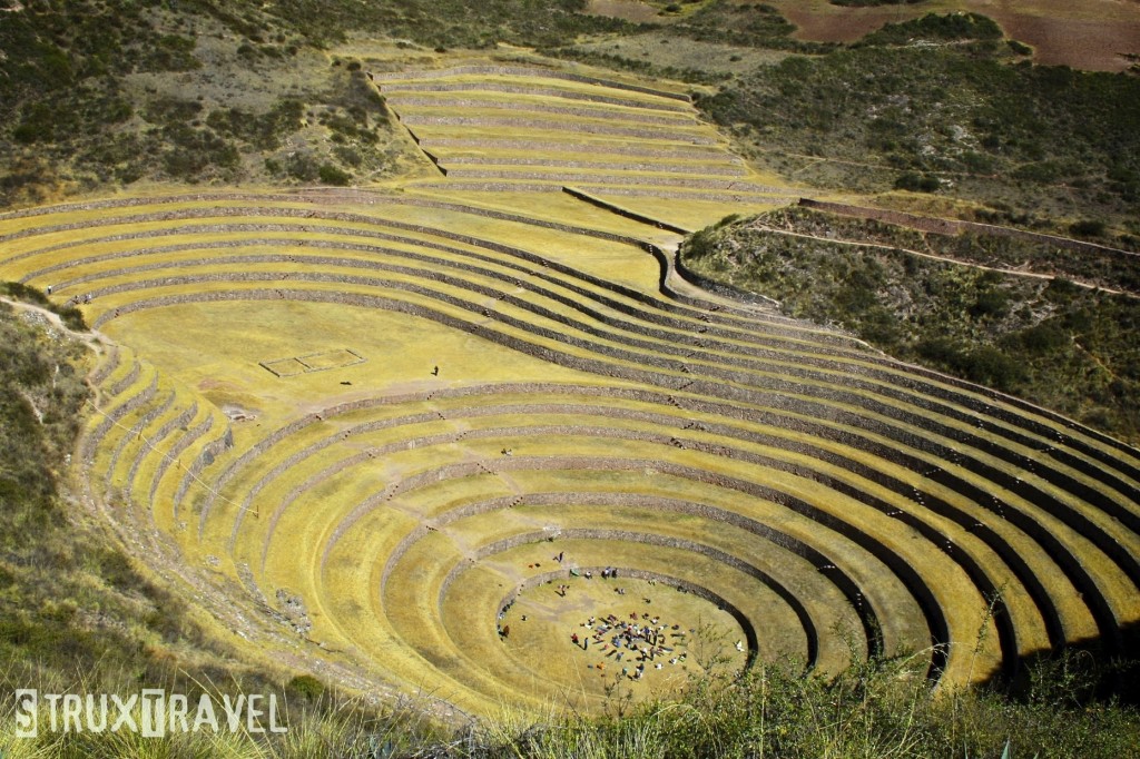 moray above 2