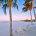 Florida is the ideal destination for couples, whether as a place to leave day-to-day life behind or as a fantastic honeymoon destination. It’s not all about Disney World or the Kennedy Space Center. Watching the sunset or having an exclusive candlelight dinner at a romantic beach are just a couple...