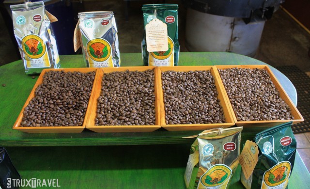 Do you know where your morning cup of coffee came from? If you’ve ever had any from Pete’s Coffee, Starbucks, Dunkin’ Donuts or brewed your own Maxwell House, then you’ve likely enjoyed coffee grown at the Doka Estate. Located on the verdant slopes of the Poás Volcano in central Costa...
