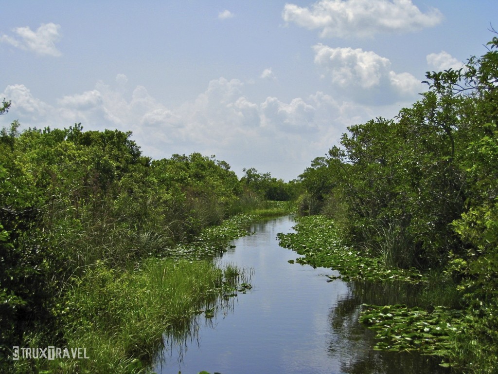 Perspectives: Everglades National Park, Florida