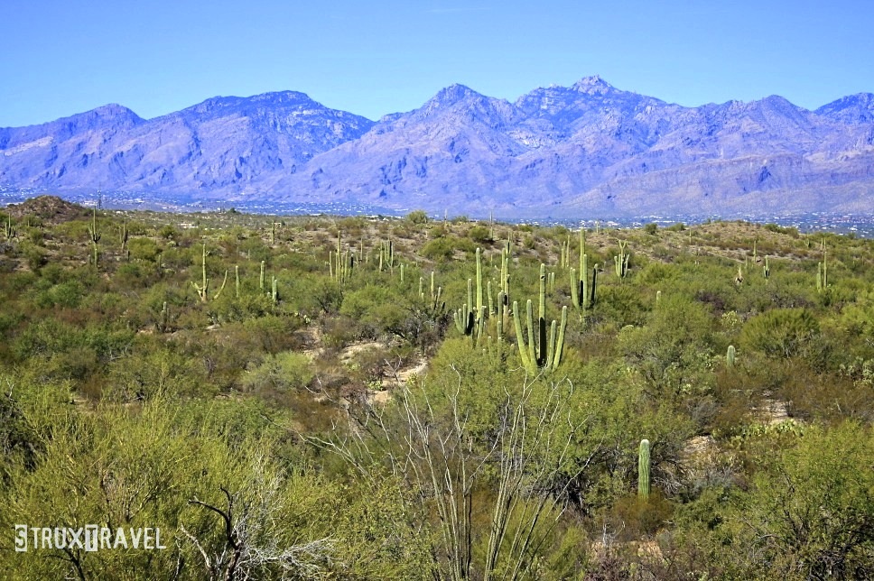 Arizona USA