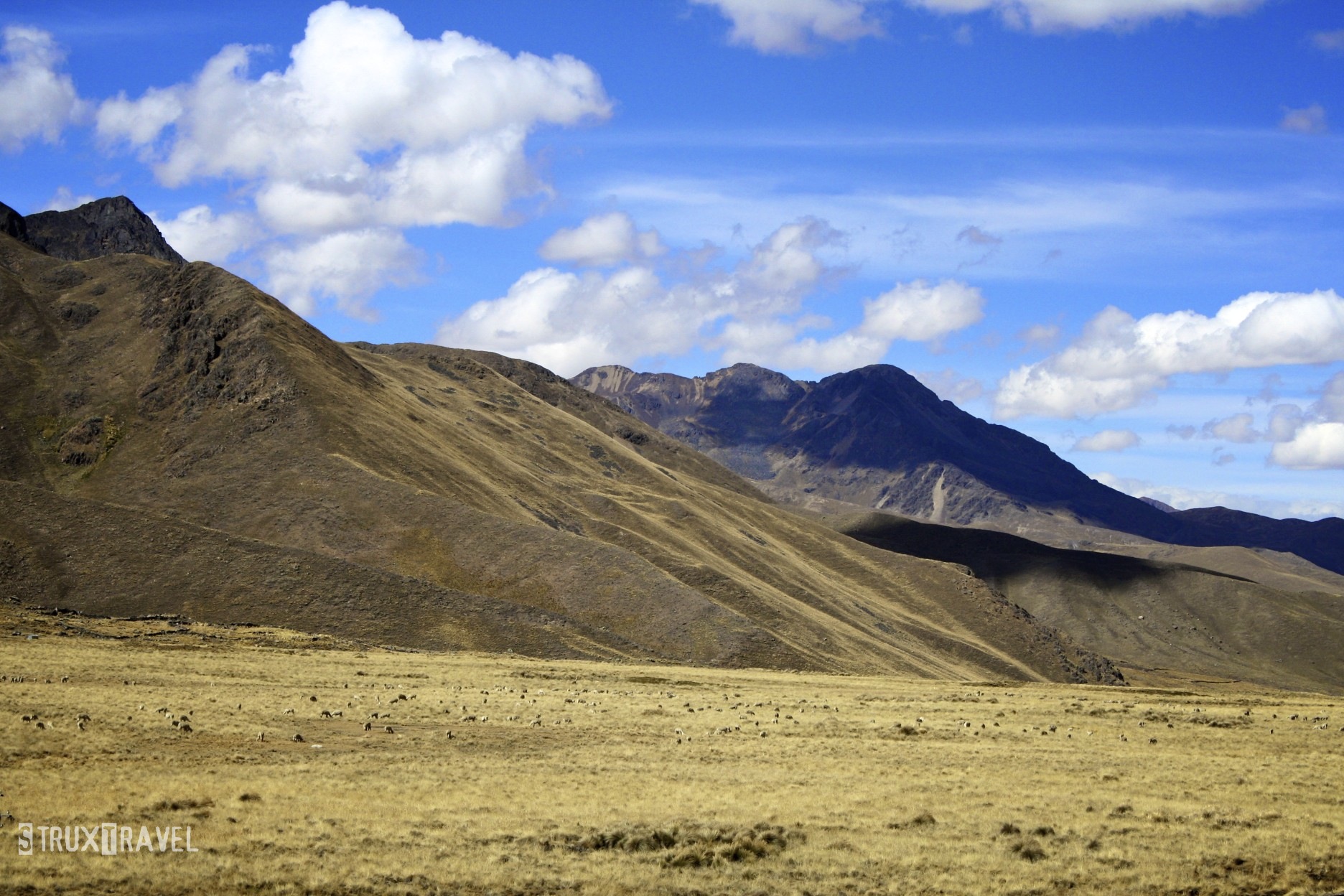 Andes Plateau